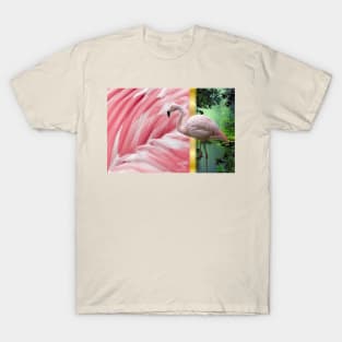 Flamingo And Feathers T-Shirt